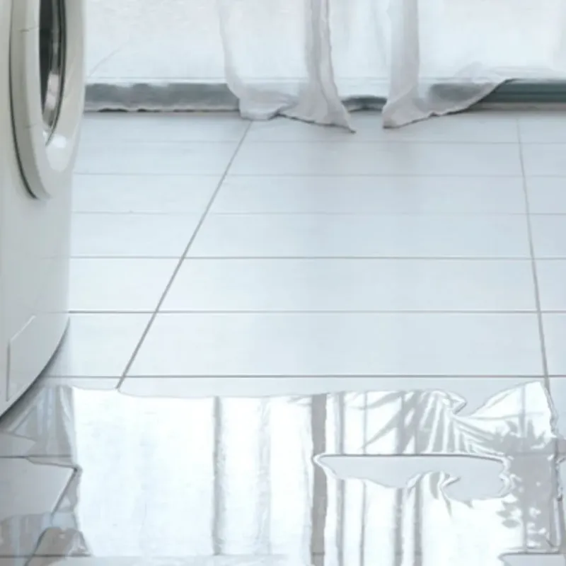 Appliance Leak Cleanup in Bement, IL