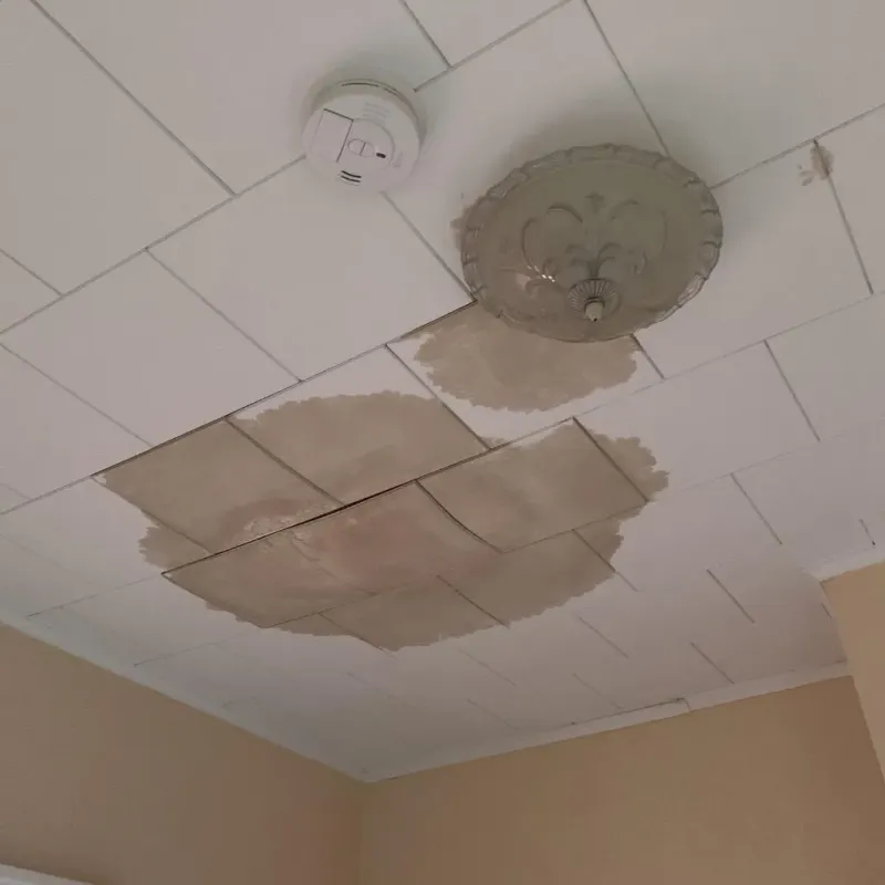 Ceiling Water Damage Repair in Bement, IL