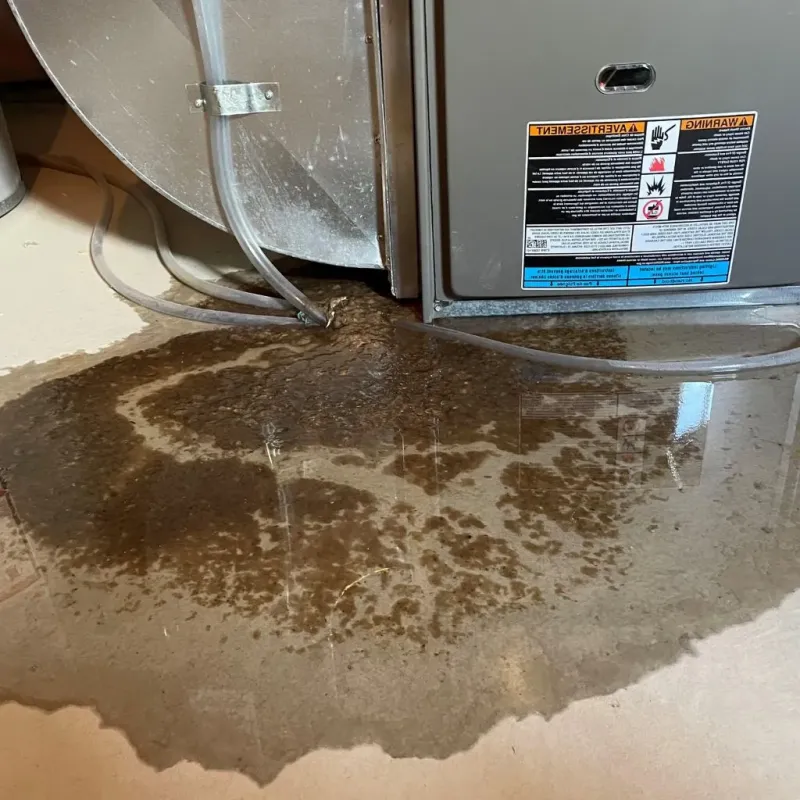 Pipe Burst and Leak Restoration in Bement, IL