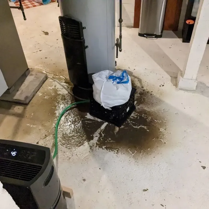 Sewage Backup Cleanup Service in Bement, IL